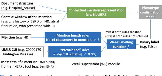 Figure 2 for Ontology-Based and Weakly Supervised Rare Disease Phenotyping from Clinical Notes