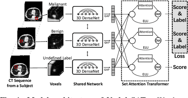 Figure 1 for Relational Learning between Multiple Pulmonary Nodules via Deep Set Attention Transformers