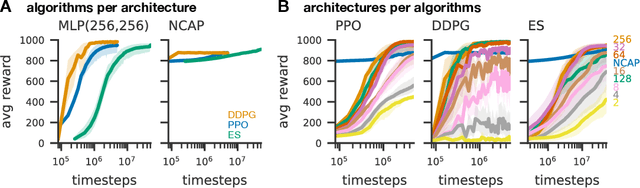 Figure 4 for Neural Circuit Architectural Priors for Embodied Control