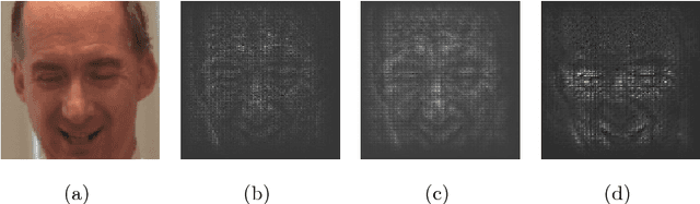 Figure 3 for Saliency Supervision: An Intuitive and Effective Approach for Pain Intensity Regression
