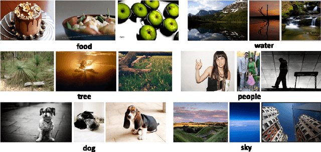 Figure 2 for Manifold regularized kernel logistic regression for web image annotation