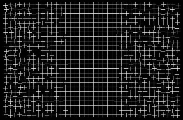 Figure 1 for Towards a Science of Mind