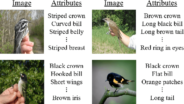 Figure 1 for Semantic Feature Extraction for Generalized Zero-shot Learning