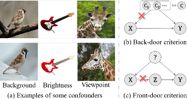 Figure 1 for Confounder Identification-free Causal Visual Feature Learning
