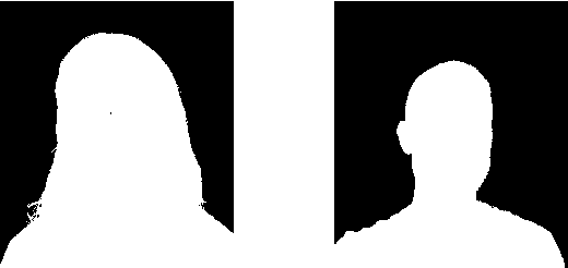 Figure 3 for Boundary-sensitive Network for Portrait Segmentation