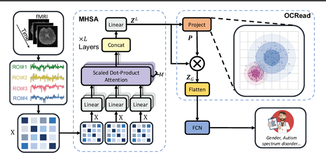Figure 3 for Brain Network Transformer