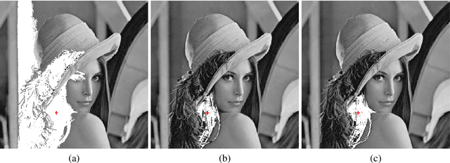 Figure 1 for Homogeneity of a region in the logarithmic image processing framework: application to region growing algorithms