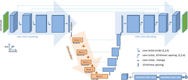Figure 1 for Efficient embedding network for 3D brain tumor segmentation