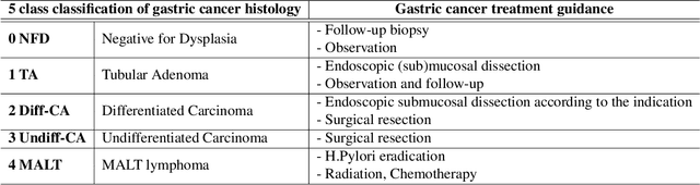 Figure 2 for A hybrid 2-stage vision transformer for AI-assisted 5 class pathologic diagnosis of gastric endoscopic biopsies