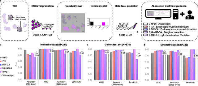 Figure 1 for A hybrid 2-stage vision transformer for AI-assisted 5 class pathologic diagnosis of gastric endoscopic biopsies
