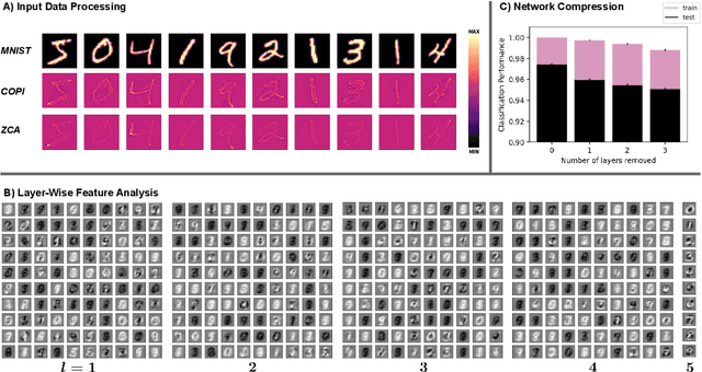 Figure 3 for Constrained Parameter Inference as a Principle for Learning
