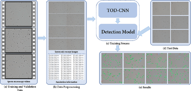 Figure 1 for TOD-CNN: An Effective Convolutional Neural Network for Tiny Object Detection in Sperm Videos