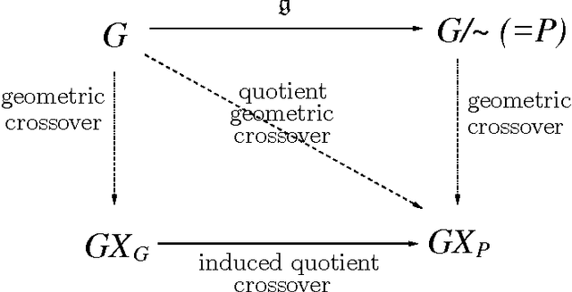 Figure 2 for Mathematical Interpretation between Genotype and Phenotype Spaces and Induced Geometric Crossovers