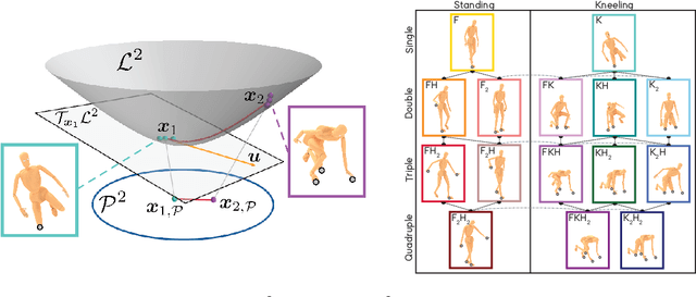 Figure 1 for Bringing robotics taxonomies to continuous domains via GPLVM on hyperbolic manifolds