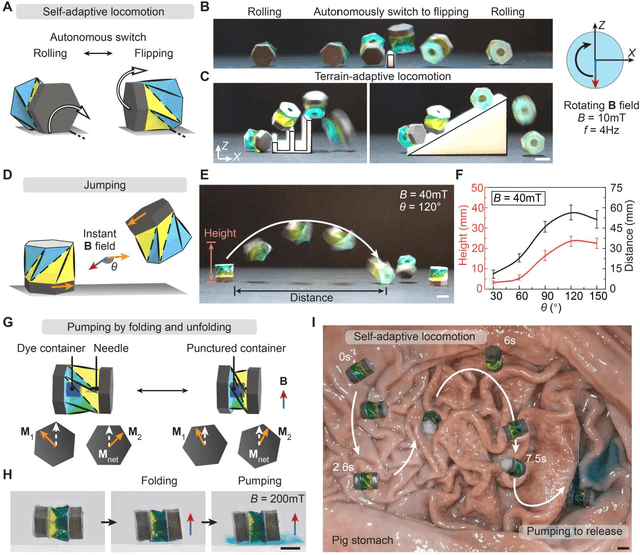 Figure 2 for Spinning-enabled Wireless Amphibious Origami Millirobot
