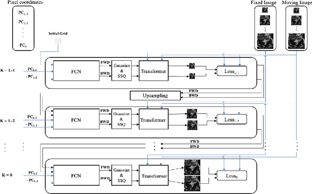 Figure 1 for A training-free recursive multiresolution framework for diffeomorphic deformable image registration