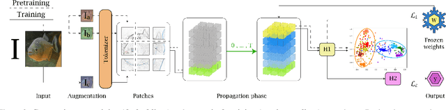 Figure 4 for Interpretable part-whole hierarchies and conceptual-semantic relationships in neural networks