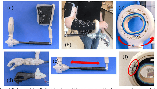 Figure 1 for A Modular Transradial Bypass Socket for Surface Myoelectric Prosthetic Control in Non-Amputees