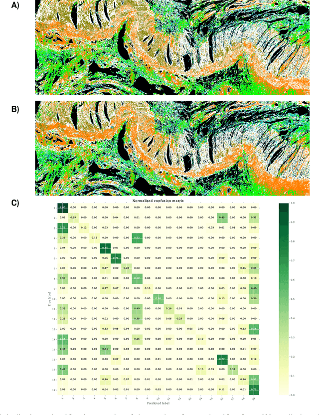 Figure 4 for Deep Neural Networks for the Correction of Mie Scattering in Fourier-Transformed Infrared Spectra of Biological Samples