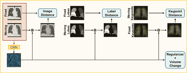 Figure 1 for Constraining Volume Change in Learned Image Registration for Lung CTs