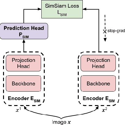 Figure 3 for Fair Visual Recognition in Limited Data Regime using Self-Supervision and Self-Distillation