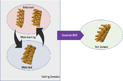 Figure 1 for Domain Generalizer: A Few-shot Meta Learning Framework for Domain Generalization in Medical Imaging