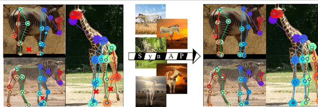 Figure 1 for Prior-Aware Synthetic Data to the Rescue: Animal Pose Estimation with Very Limited Real Data