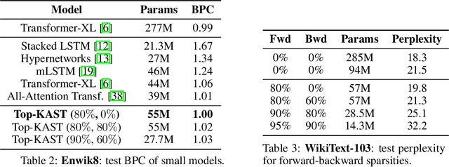 Figure 4 for Top-KAST: Top-K Always Sparse Training