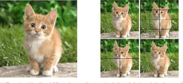 Figure 1 for S3Pool: Pooling with Stochastic Spatial Sampling
