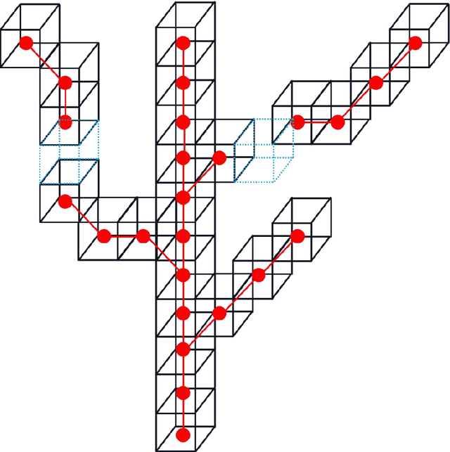 Figure 4 for Fast tree skeleton extraction using voxel thinning based on tree point cloud