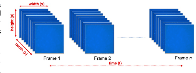 Figure 1 for Lightweight and Scalable Particle Tracking and Motion Clustering of 3D Cell Trajectories