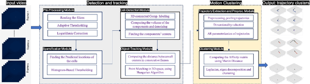 Figure 2 for Lightweight and Scalable Particle Tracking and Motion Clustering of 3D Cell Trajectories