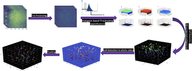 Figure 3 for Lightweight and Scalable Particle Tracking and Motion Clustering of 3D Cell Trajectories