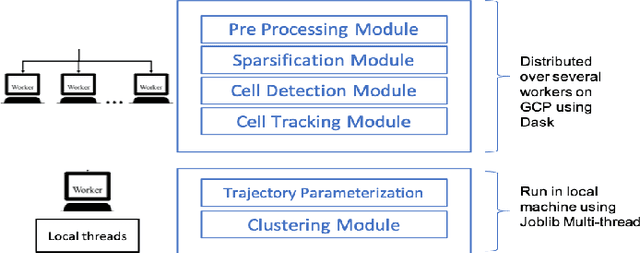 Figure 4 for Lightweight and Scalable Particle Tracking and Motion Clustering of 3D Cell Trajectories