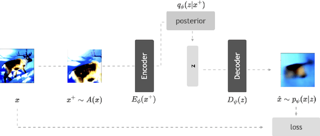 Figure 1 for AAVAE: Augmentation-Augmented Variational Autoencoders