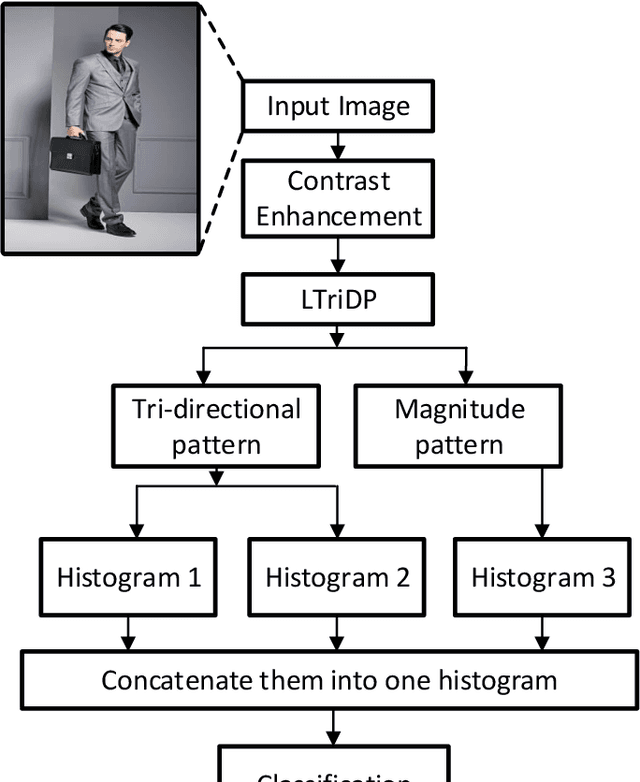 Figure 1 for Robust Baggage Detection and Classification Based on Local Tri-directional Pattern