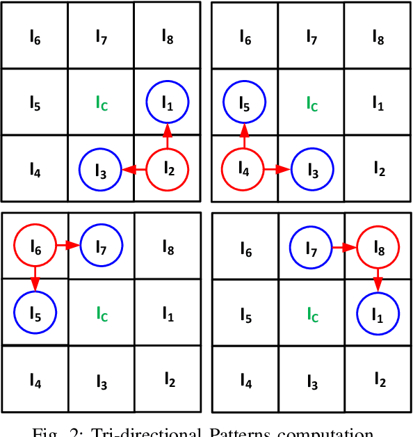 Figure 2 for Robust Baggage Detection and Classification Based on Local Tri-directional Pattern