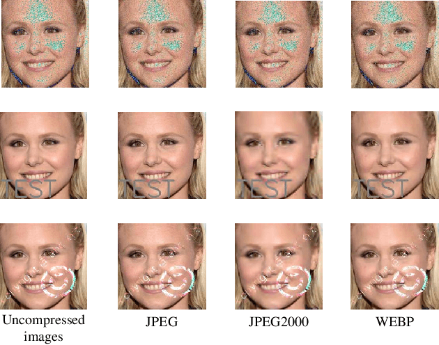 Figure 3 for Compression-Resistant Backdoor Attack against Deep Neural Networks