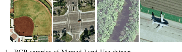 Figure 1 for Multi-Objective CNN Based Algorithm for SAR Despeckling