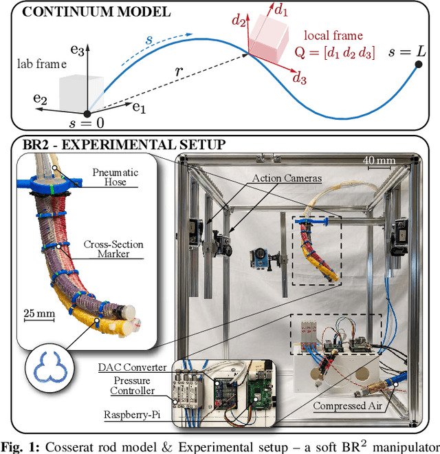Figure 1 for A physics-informed, vision-based method to reconstruct all deformation modes in slender bodies