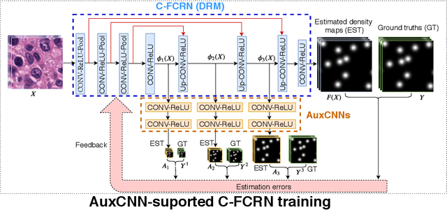 Figure 3 for Deeply-Supervised Density Regression for Automatic Cell Counting in Microscopy Images