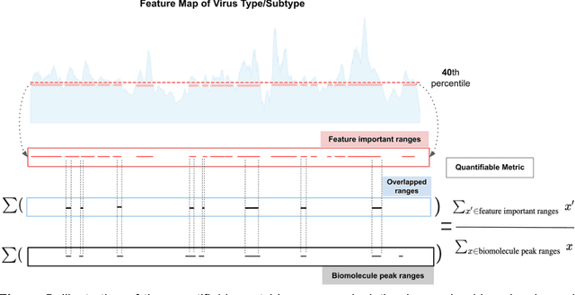 Figure 4 for Accurate Virus Identification with Interpretable Raman Signatures by Machine Learning