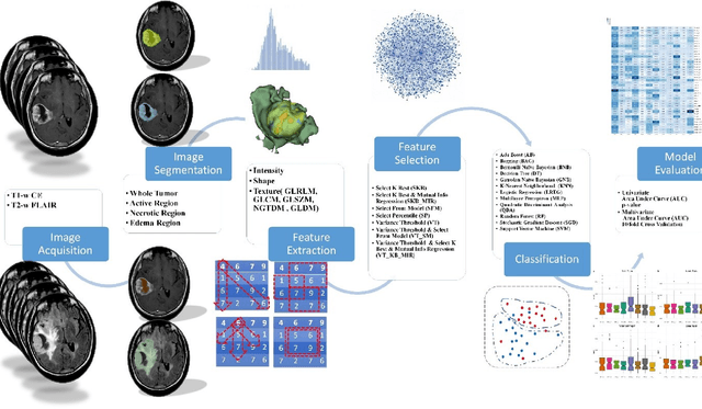Figure 1 for Non-Invasive MGMT Status Prediction in GBM Cancer Using Magnetic Resonance Images Radiomics Features: Univariate and Multivariate Machine Learning Radiogenomics Analysis