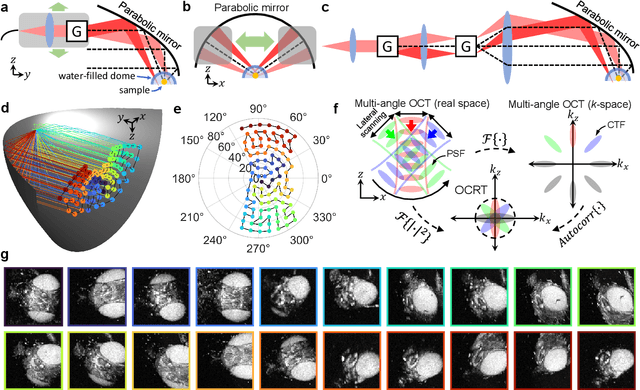 Figure 1 for Computational 3D microscopy with optical coherence refraction tomography
