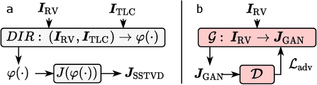 Figure 1 for Single volume lung biomechanics from chest computed tomography using a mode preserving generative adversarial network