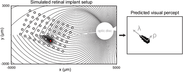 Figure 2 for Deep Learning--Based Scene Simplification for Bionic Vision