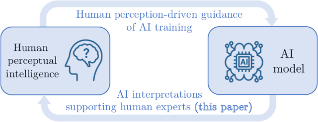 Figure 1 for The Value of AI Guidance in Human Examination of Synthetically-Generated Faces