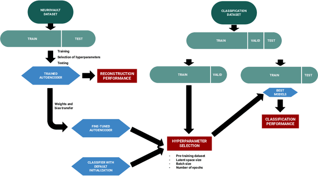 Figure 1 for On the benefits of self-taught learning for brain decoding