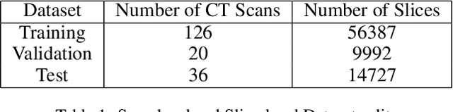 Figure 2 for Comparative Evaluation of 3D and 2D Deep Learning Techniques for Semantic Segmentation in CT Scans
