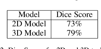 Figure 4 for Comparative Evaluation of 3D and 2D Deep Learning Techniques for Semantic Segmentation in CT Scans